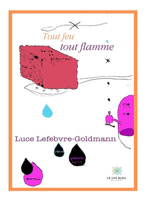 cover image of Tout feu tout flamme